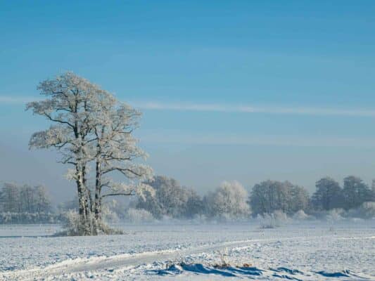 Winter 0209004